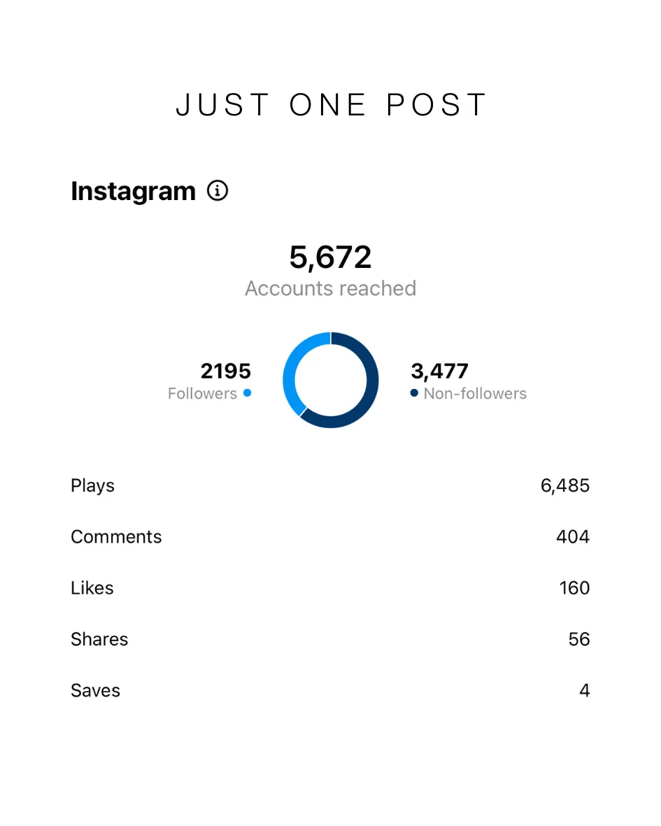 Results from just one Instagram post